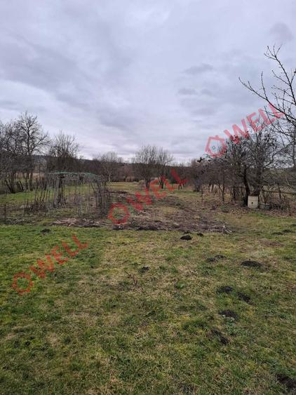 Casa de vanzare in Mitresti - 3