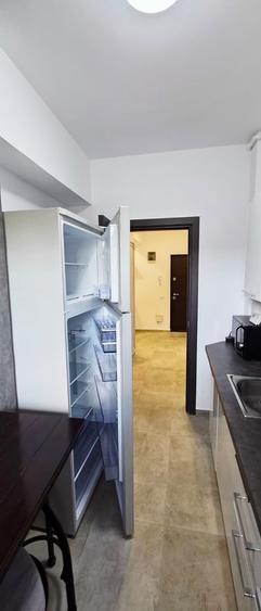 Apartament 2 camere,decomandat, 64mp ,vedere parc Politehnica - 10