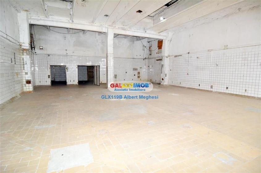 Inchiriere spatii depozitare suprafete intre 500 mp si 11000 mp - 14