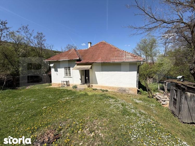 Casa cu 3 camere si un teren de 5000 mp - 5