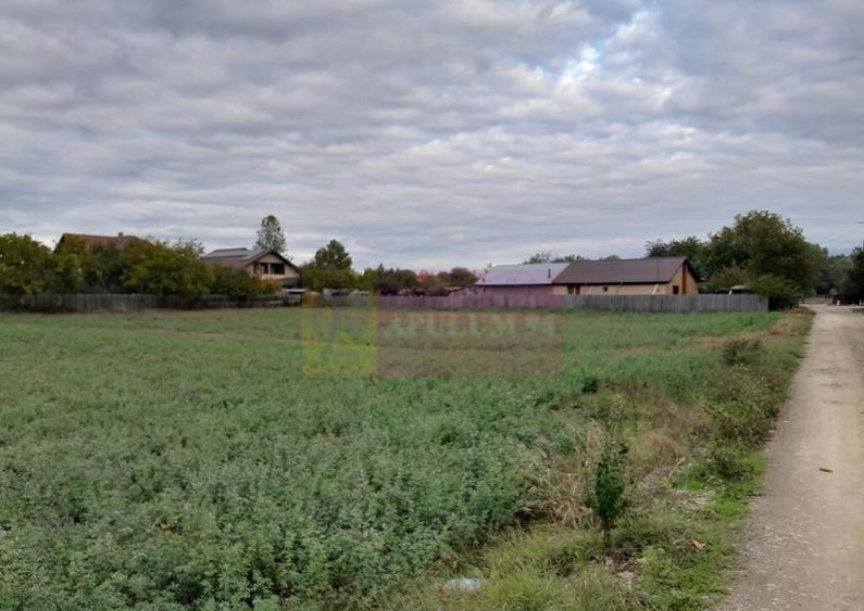 COSERENI( il ) - TEREN 2K MP DE VANZARE (52 M DESCHIDERE ... - 4