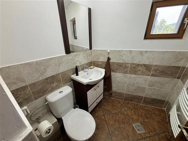 VILA DEOSEBITA IN SLATINA - LUNCANI - OAZA DE LINISTE LA MARGINEA PADURII - 20