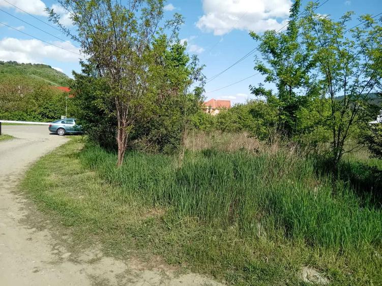Teren zona Ursuleti Piatra Neamt - 6