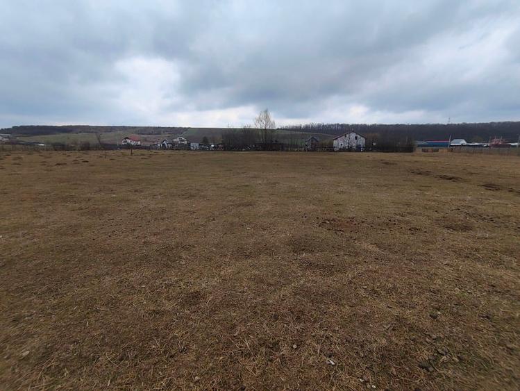 Teren de vânzare Șanta-Mogoșești - 3