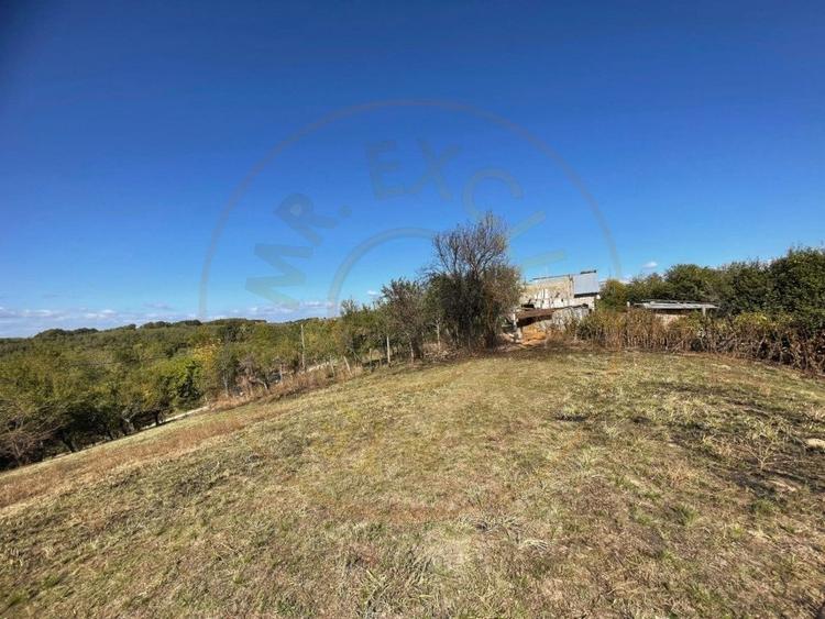 Teren generos Arges Babana - 6