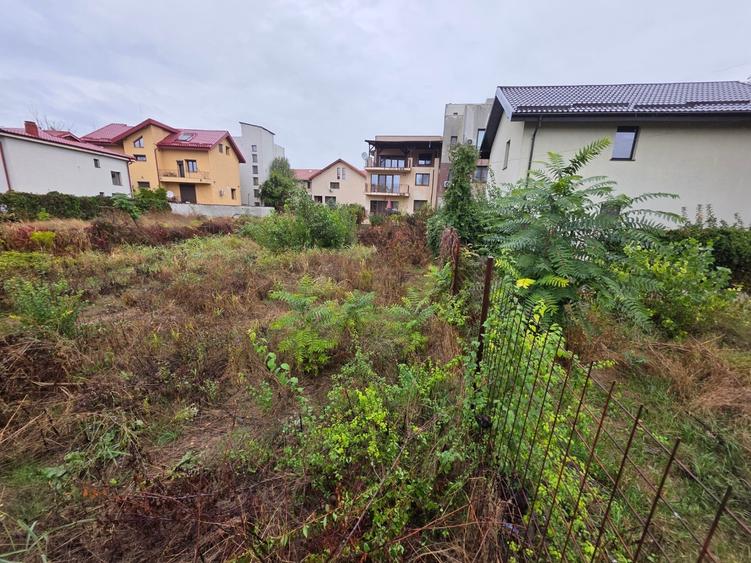 B-ul Nicolae Grigorescu, chiar la pasajul peste Spaliul Unirii, - 2