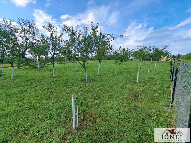 Vanzare teren in Benic - 3