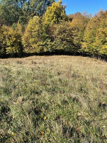 Vand teren intravilan cartier Petrisor - Ramnicu Valcea - 6