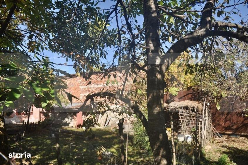 Vanzare Casa / Vila Giroc / Fratelia - 4