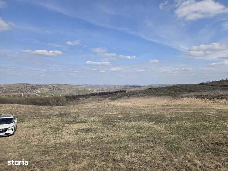 Teren de vanzare Pata Cluj - 1