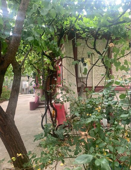 Vanzare  Casa  locuibila 2 camere str Jiului  Voluntari Comision 0% Cumparator - 8