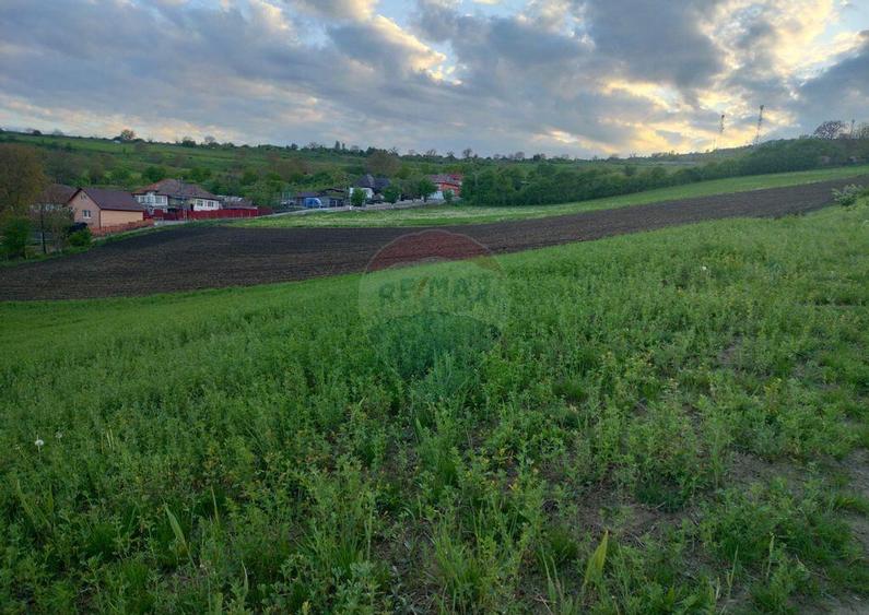 Teren intravilan Tarnaveni - 1