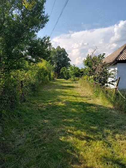 Casa batraneasca cu teren in sat Schitu Scoicesti, com Leordeni, Arge? - 1