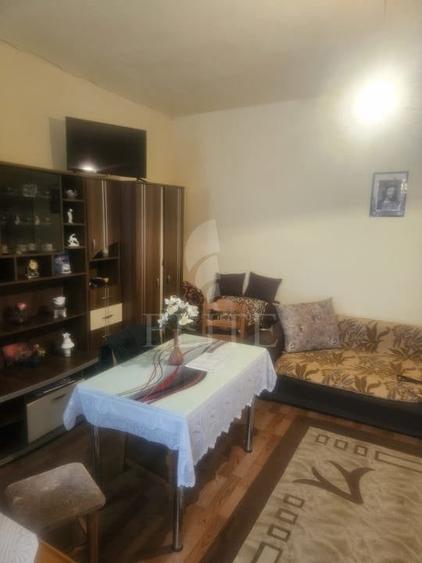 Apartament o camera în zona Parcul Caragiale, Regele Ferdinand - 9