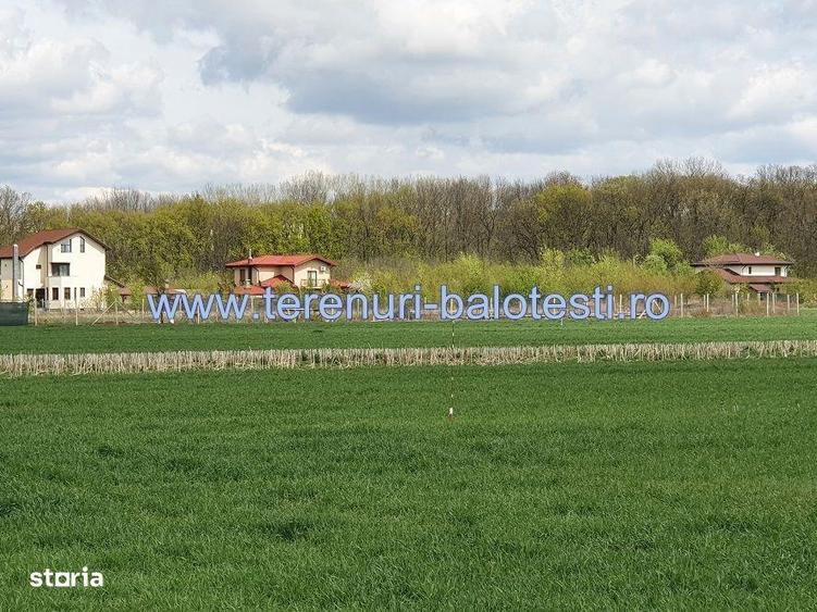 Teren langa padurea Sri Balotesti, 22500 euro - 4