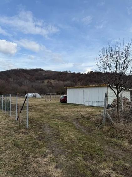 Teren intravilan/extravilan 2000 mp , Luna de Sus - 2