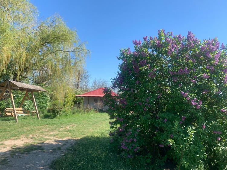 Fermă de vânzare - DN3 - 84m deschidere - 31