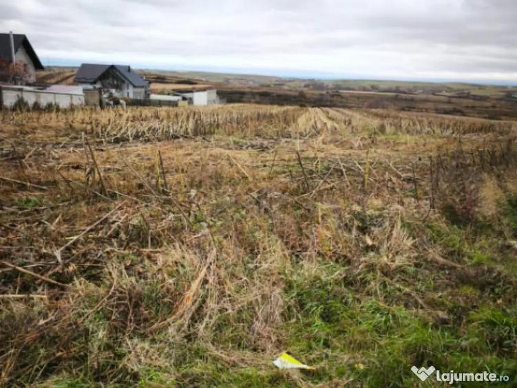 Teren intravilan, 5000 mp, Siret - 3