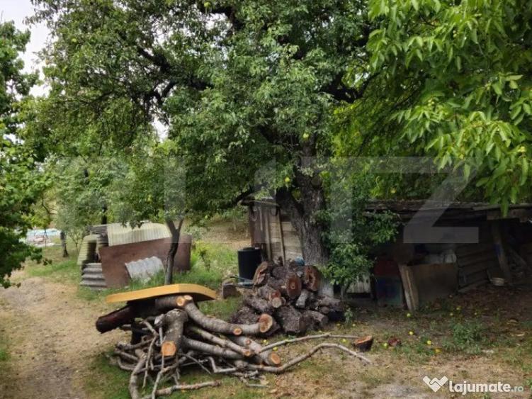 Teren extravilan 17524 mp, expunere sudica, Viforata - 6