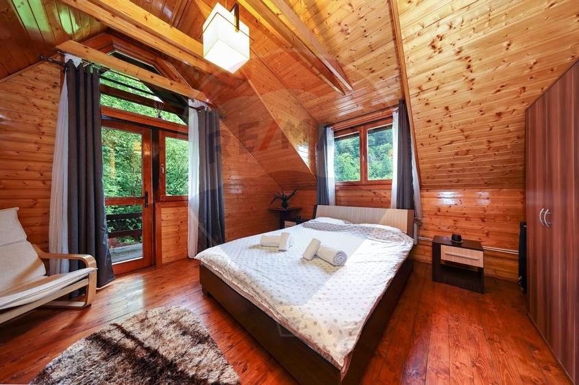 Casa in inima naturii - potential turistic - Centrul Istoric! - 12