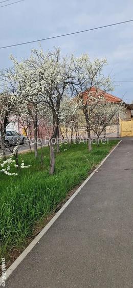 Vand casa Sannicolau Mic Vand casa Sannicolau Mic