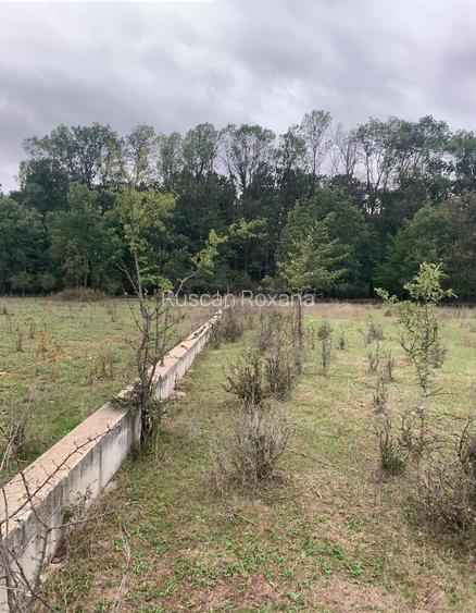 Teren intravilan  950 mp lângă pădurea  Pipera , Oxford Garden, Voluntari