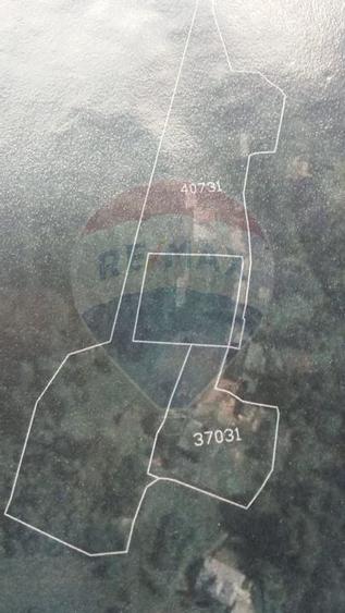 Vila / Pensiune cu 20 camere de vanzare in Campulung Moldovenesc, SV - 13