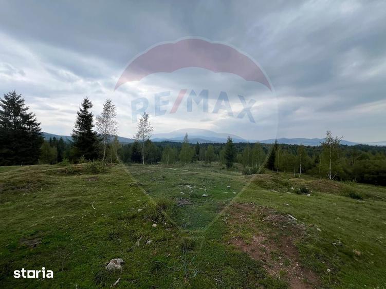 Teren de 68607 mp, în Albac