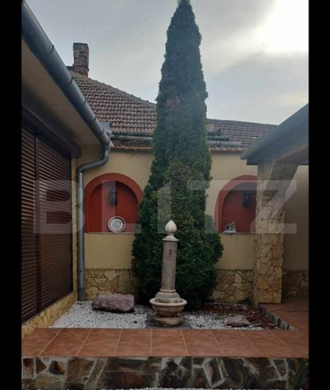 Casa Evreiasca Ta?nad, Zona Centrala - 4