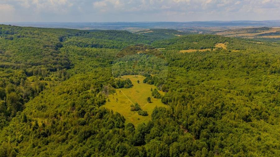 COMISION 0% Teren Grid/Inima Naturii/ Oportunitate de investitie - 10