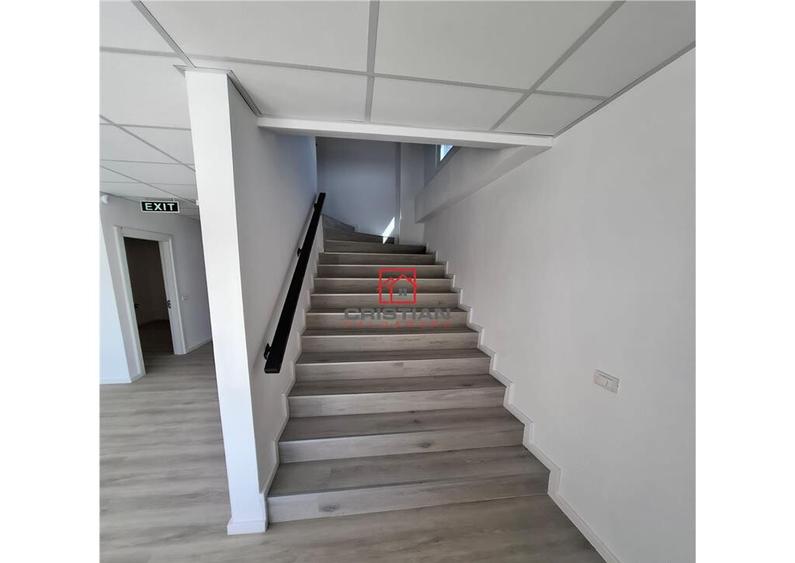 Depozit/hala/spatiu industrial Chitila - Centura - Rudeni - 14