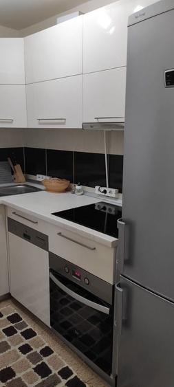 De inchiriat apartament cu 1 camera 240 euro - 2