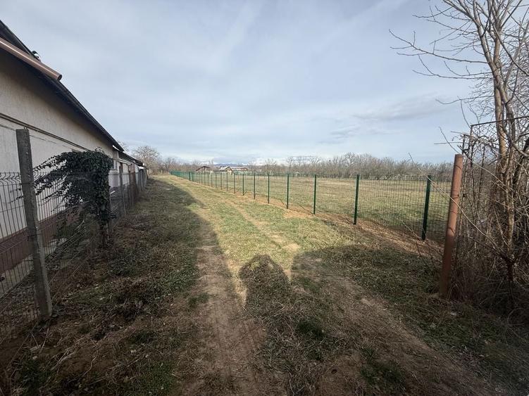 Teren intravilan Baicoi (Tufeni) - 4