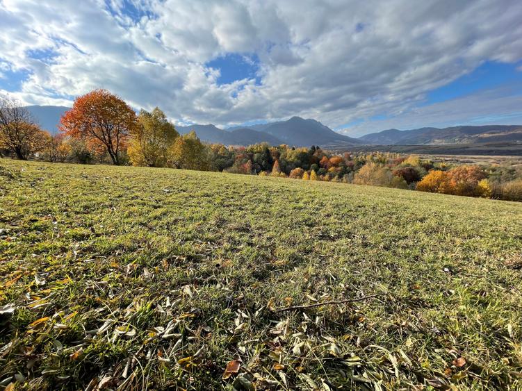 Teren intravilan loturi intre 500 si 1000 m, la 5 km de Moieciu - 6