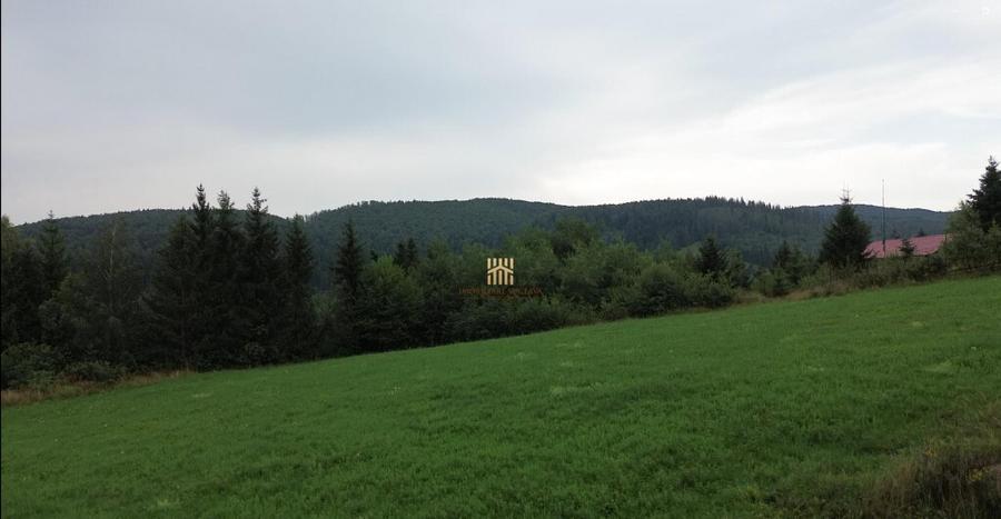 Teren 5023 mp In Bucovina Zona Manastirea Voronet De 07278 - 18