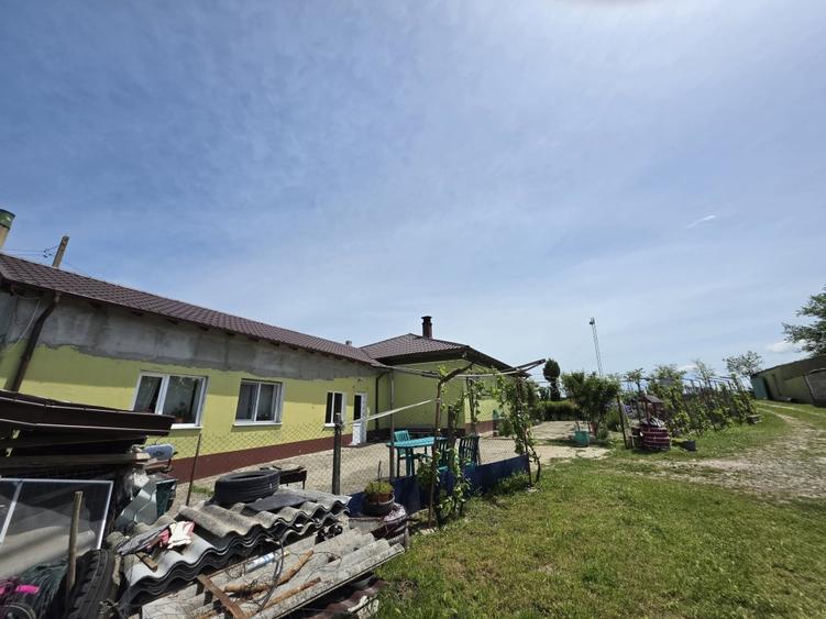 CASA DE VANZARE IN TORTOMAN - 12