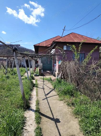 Casa batraneasca de vanzare - 4