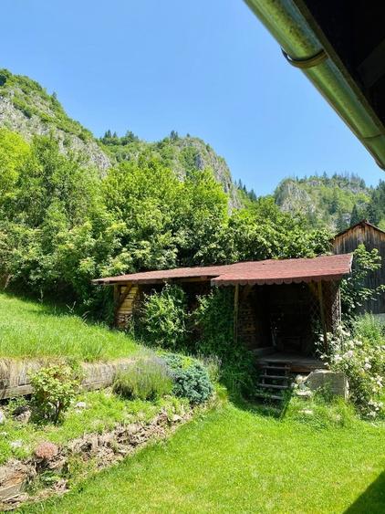 Dambovicioara, Jud. Arges - 2