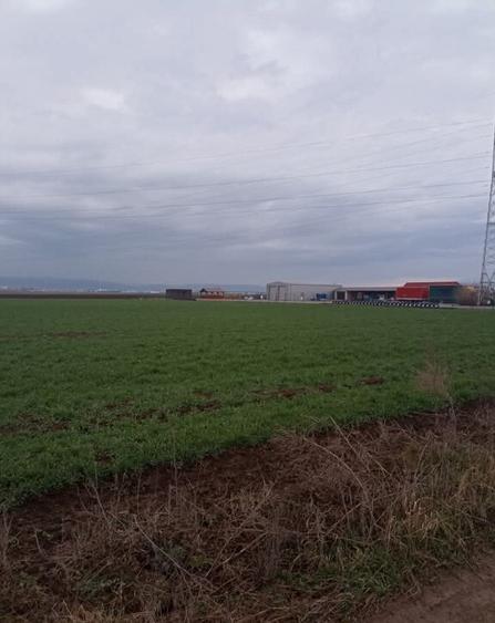 De vanzare terenuri intravilane intre Chilieni si Ozun - 1