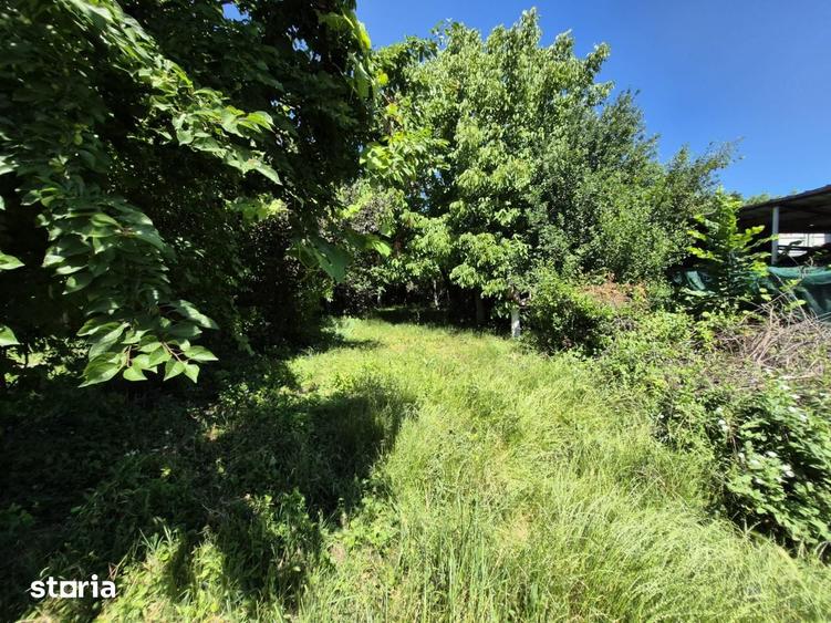 Casa 3 camere + , singur in curte - 2