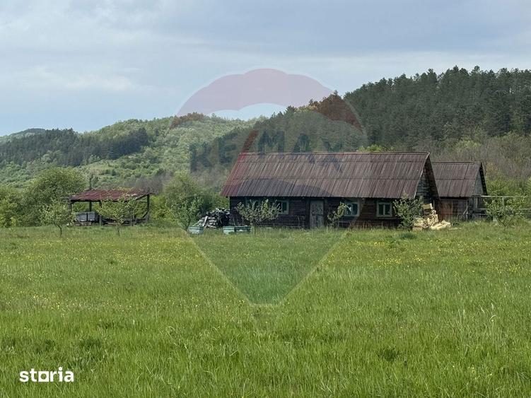Proprietate OFF-GRID 5,76 Ha. Casa tradi?ionala lemn. Limita Cluj - 4