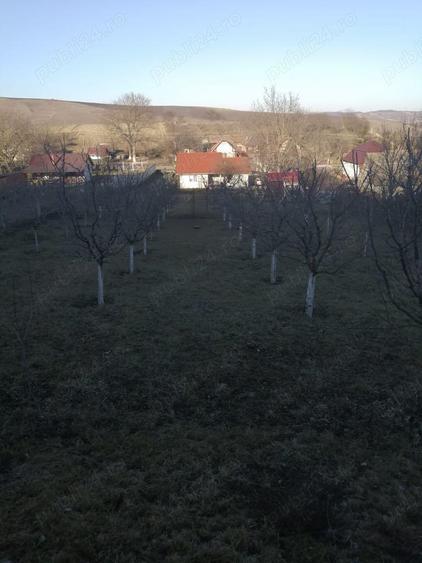 Casa de vanzare in Ora? Ludu?, str. Avrame?ti - 9