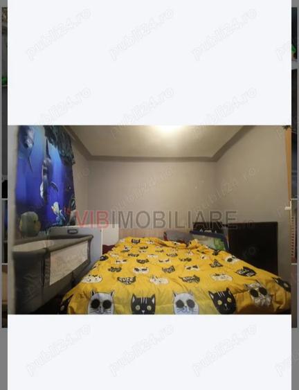 Casa batraneasca - 4