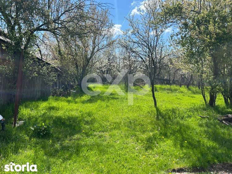 Casa la tara cu teren 3940 mp si livada zona linistita - 1