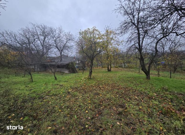 Teren intravilan Tomesti , 500 metri Cod:160517 - 4