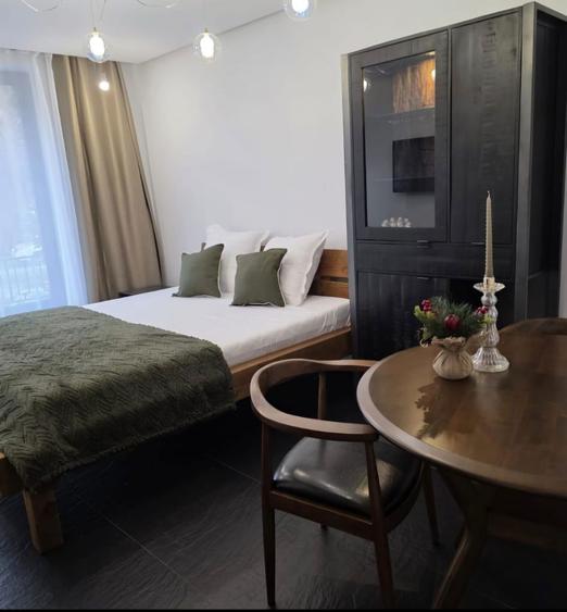 2 x Garsoniera / spatiu comercial ultracentral parter Stefan cel Mare - 6