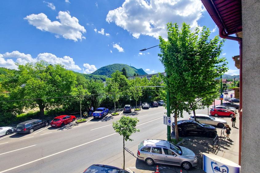 Vila 7 camere, ultracentral, zona AFI Mall, 3 parcari private, curte,0% comision - 25
