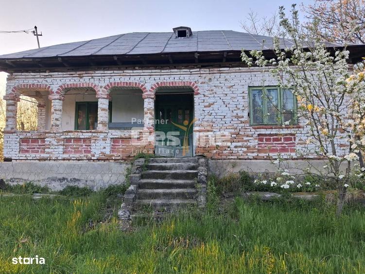 Casa batraneasca cu teren 1150 mp, vie si livada Serbanesti, Paus - 4