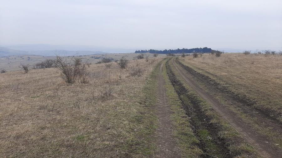 Teren agricol pentru investitii, zona Valea Calda -Iris - 9