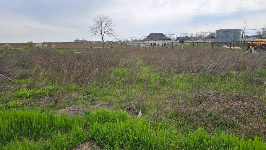 teren de vanzare - 6